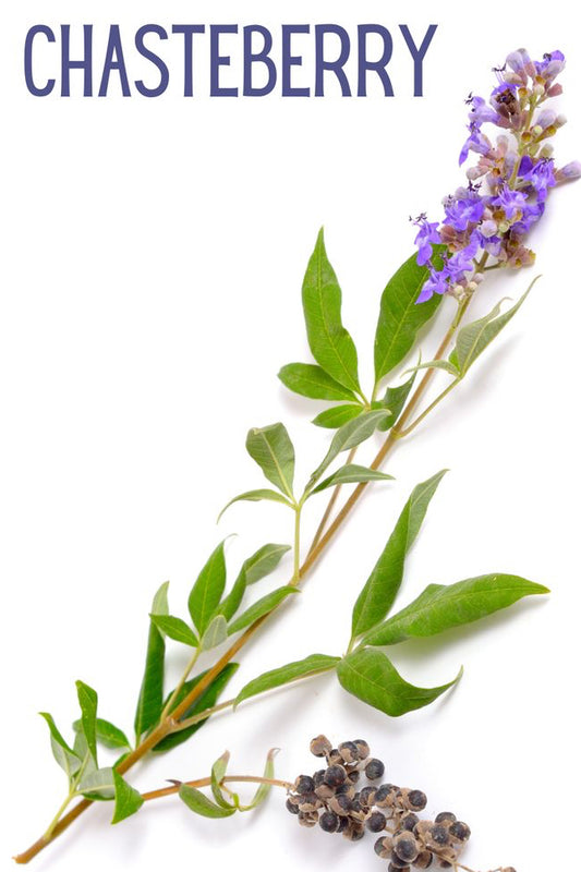 Chaste Tree Berry 1oz